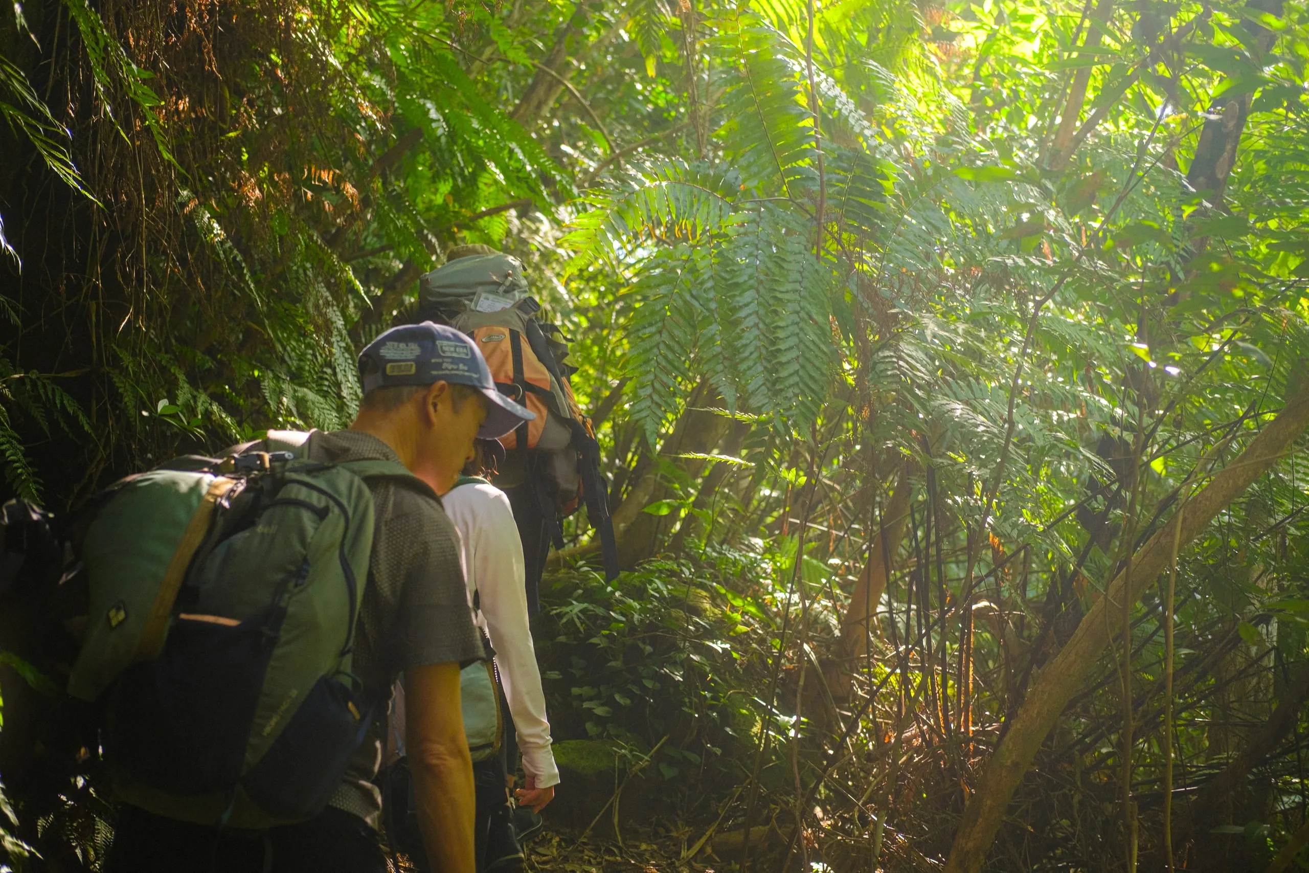 Trekking towards Nara falls
