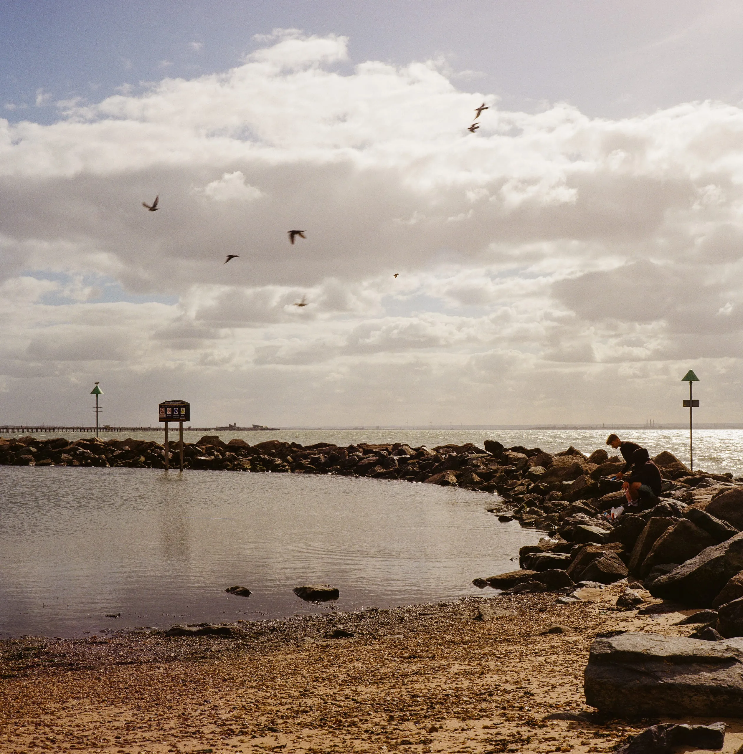 Kids fish among the rocks at the water's edge as birds fly over the sea