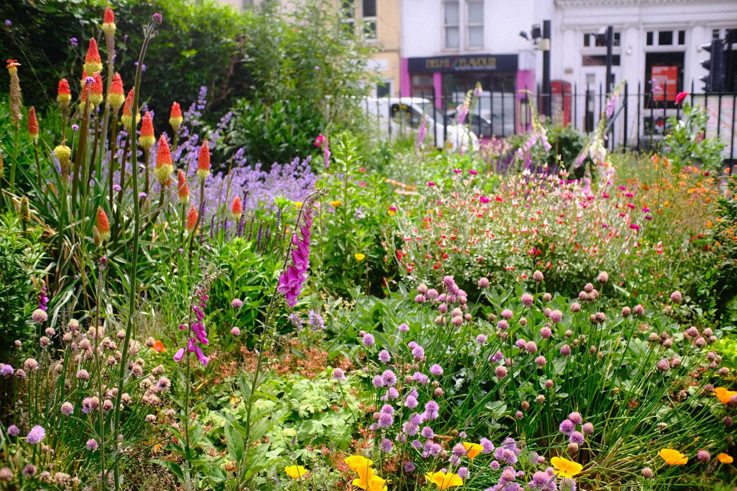 Spring garden display