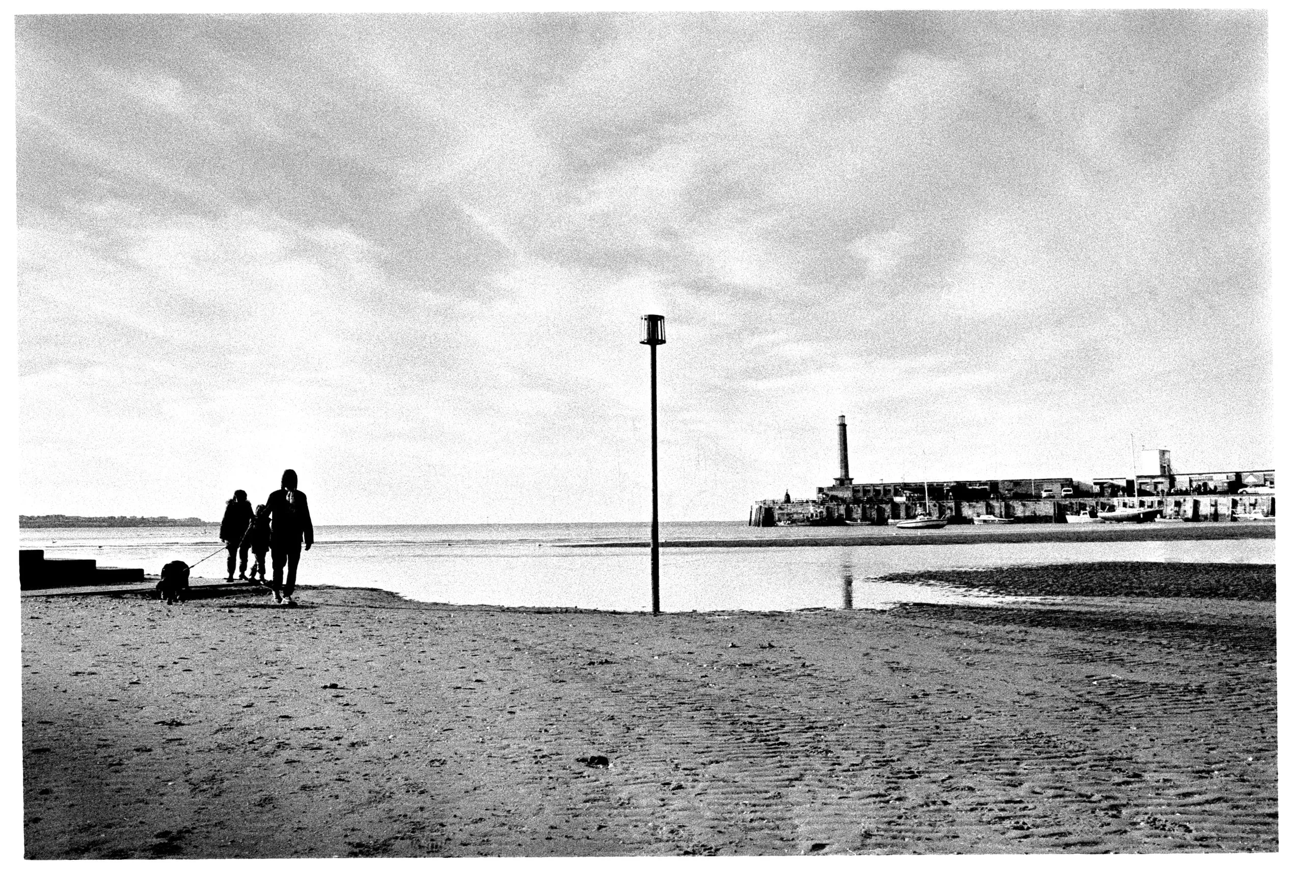 People walk a dog across the sand at low tide, with the harbour arm behind