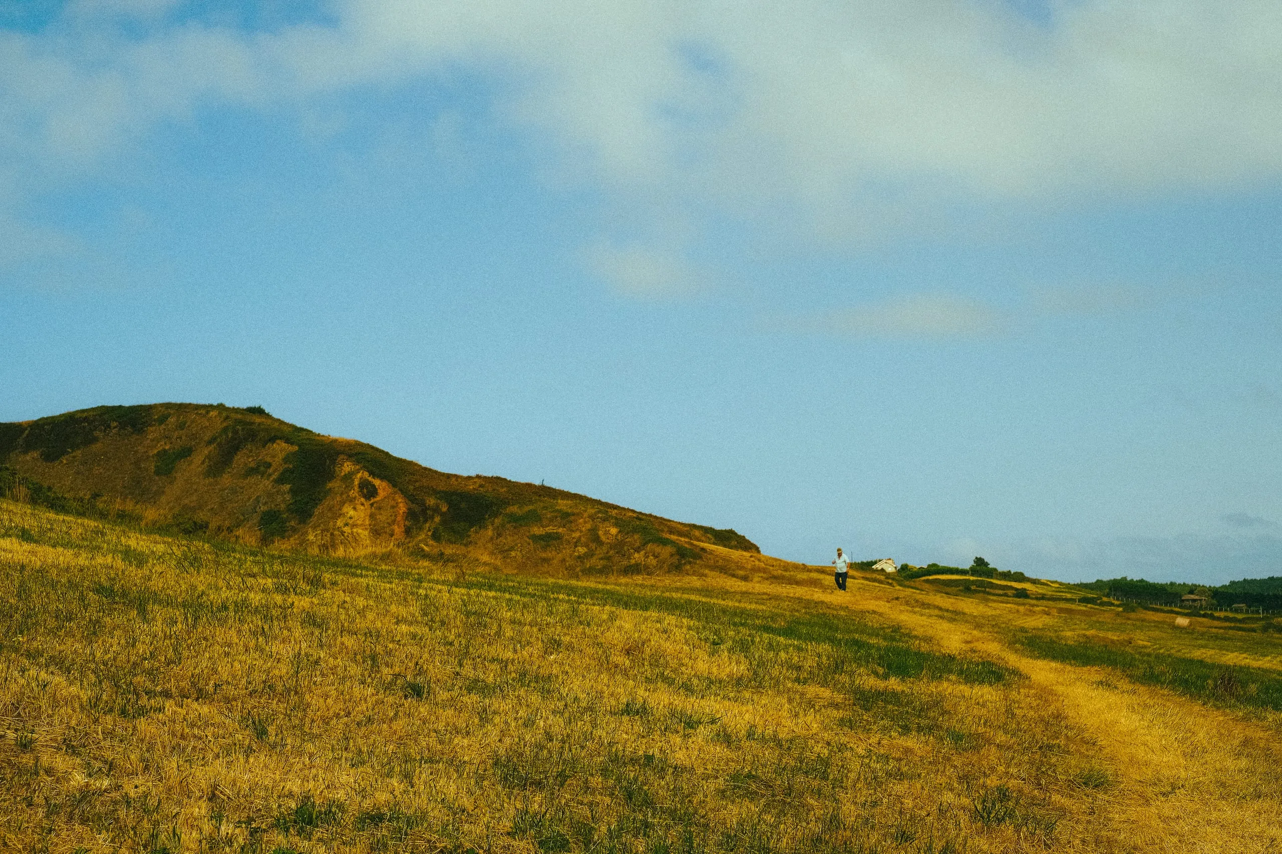 A man walks a path across a dry grassy headland, Verdicio