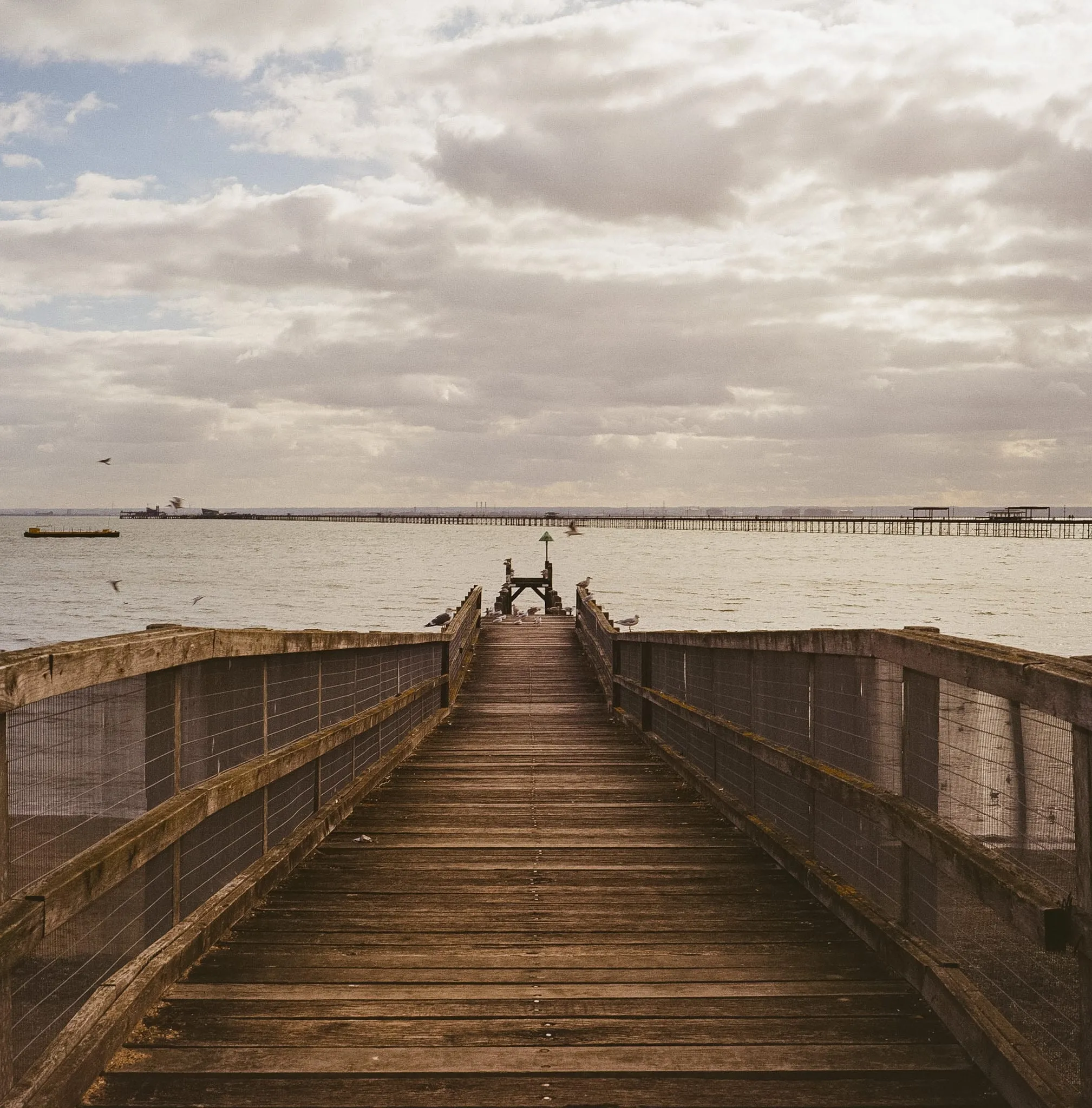 Seagulls rest at the end of a pier