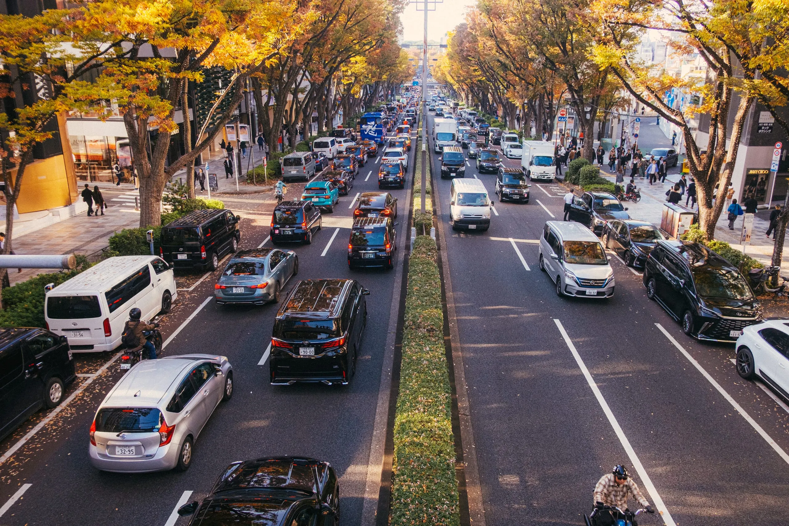 Traffic and pedestrians on a tree-lined avenue at golden hour