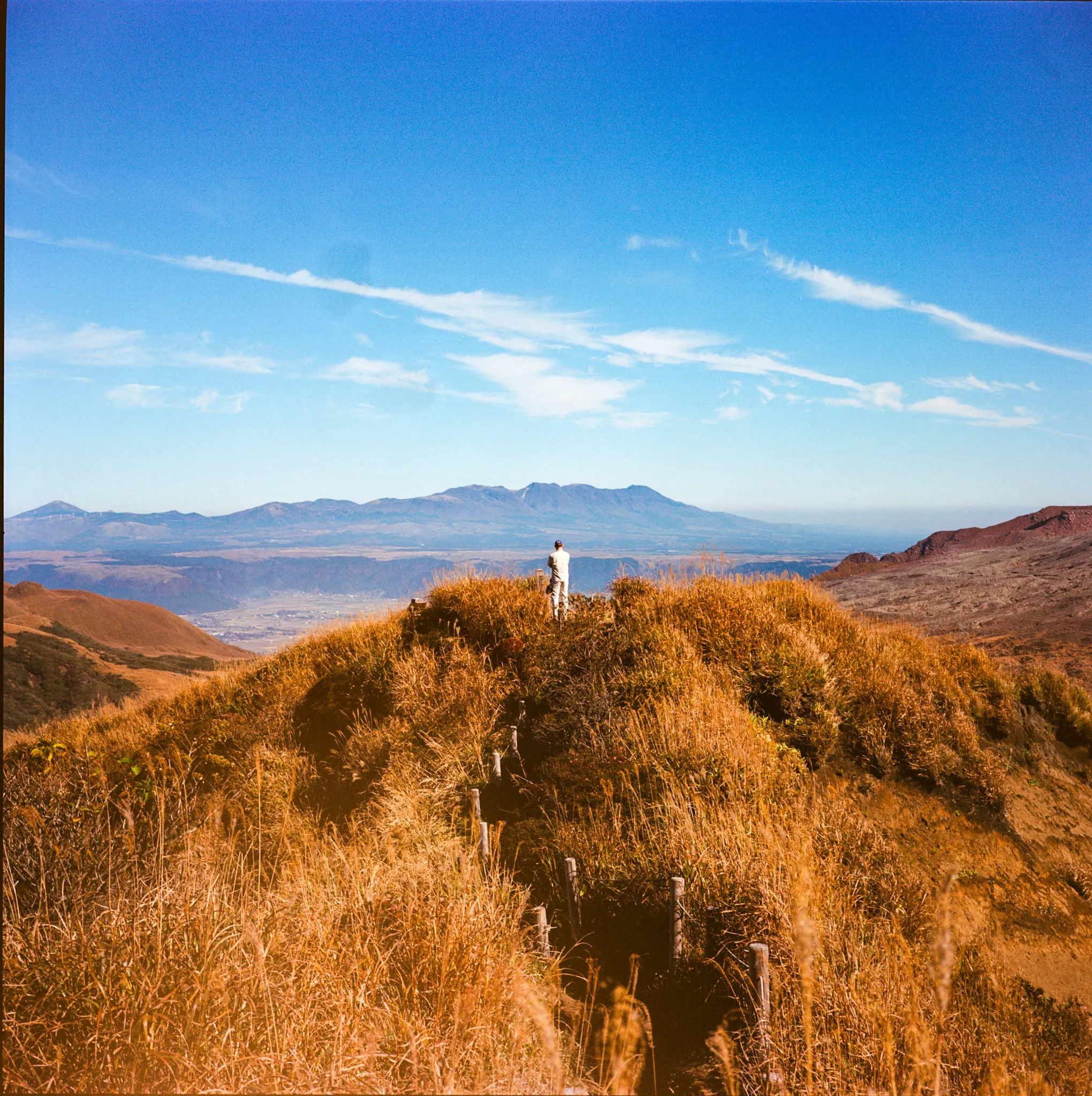 Oscar watches over the Mt. Aso caldera from the top of a hill