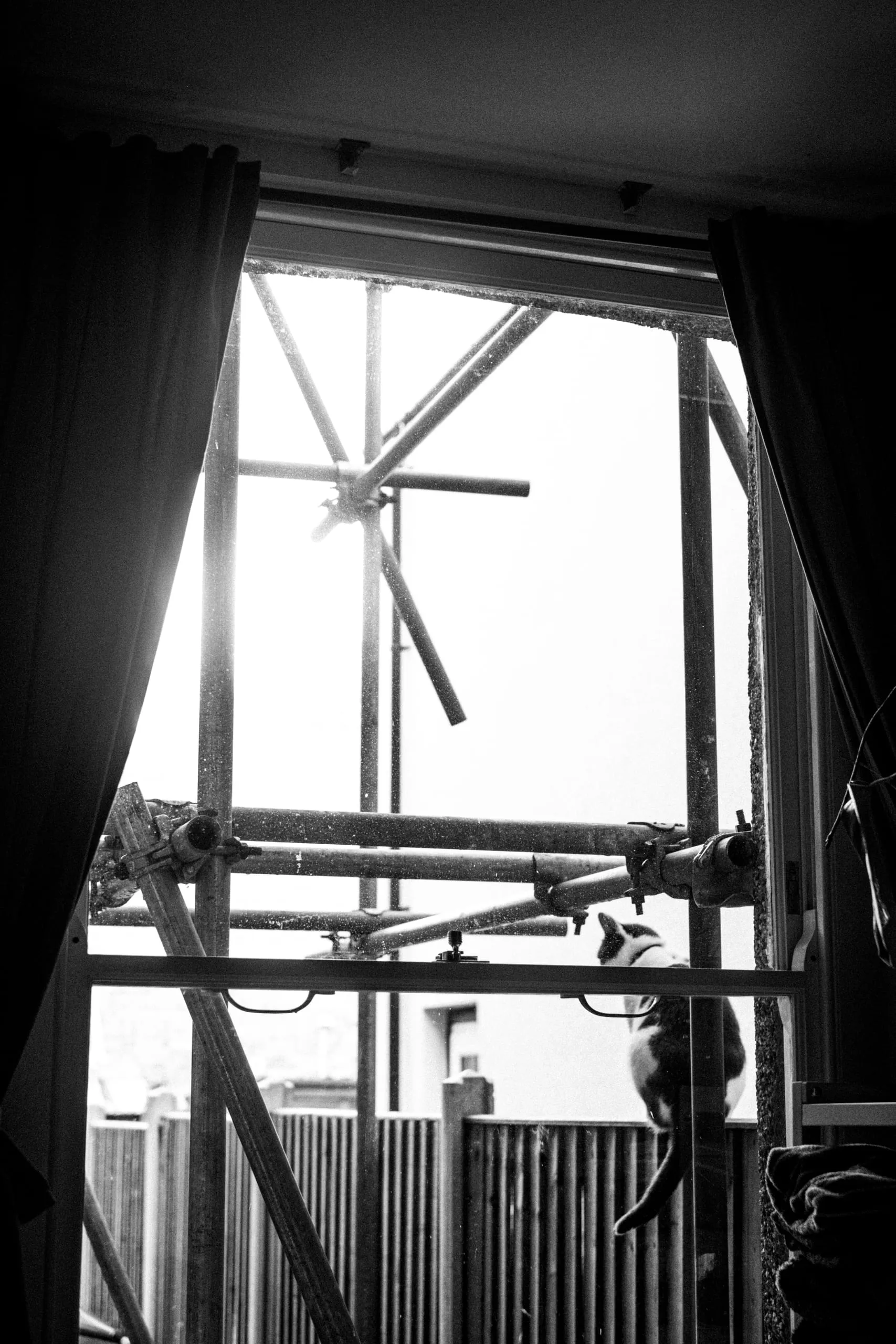 Sam looks at scaffolding