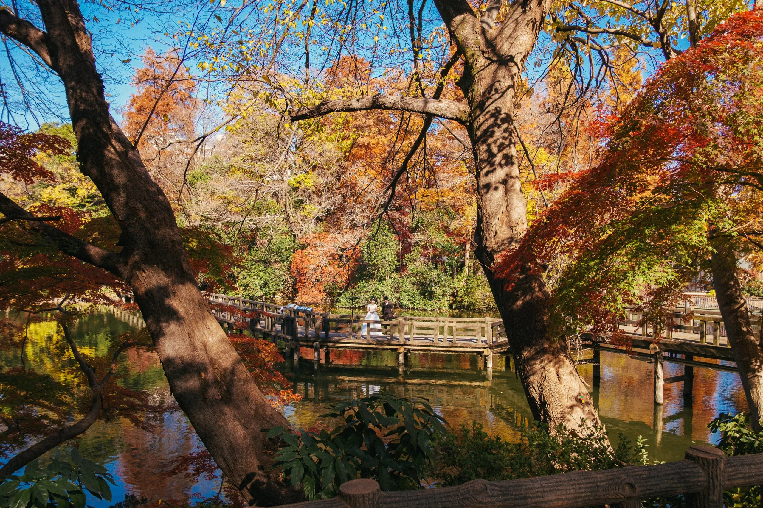 A young couple stands on a bridge for their wedding photoshoot at Inokashira park