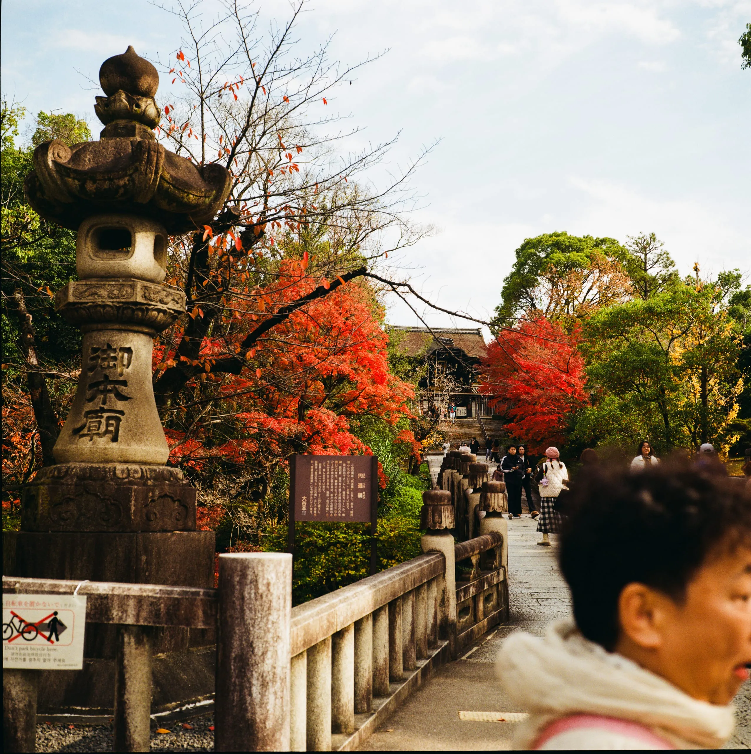 A stone lantern beside red maple leaves on a temple bridge