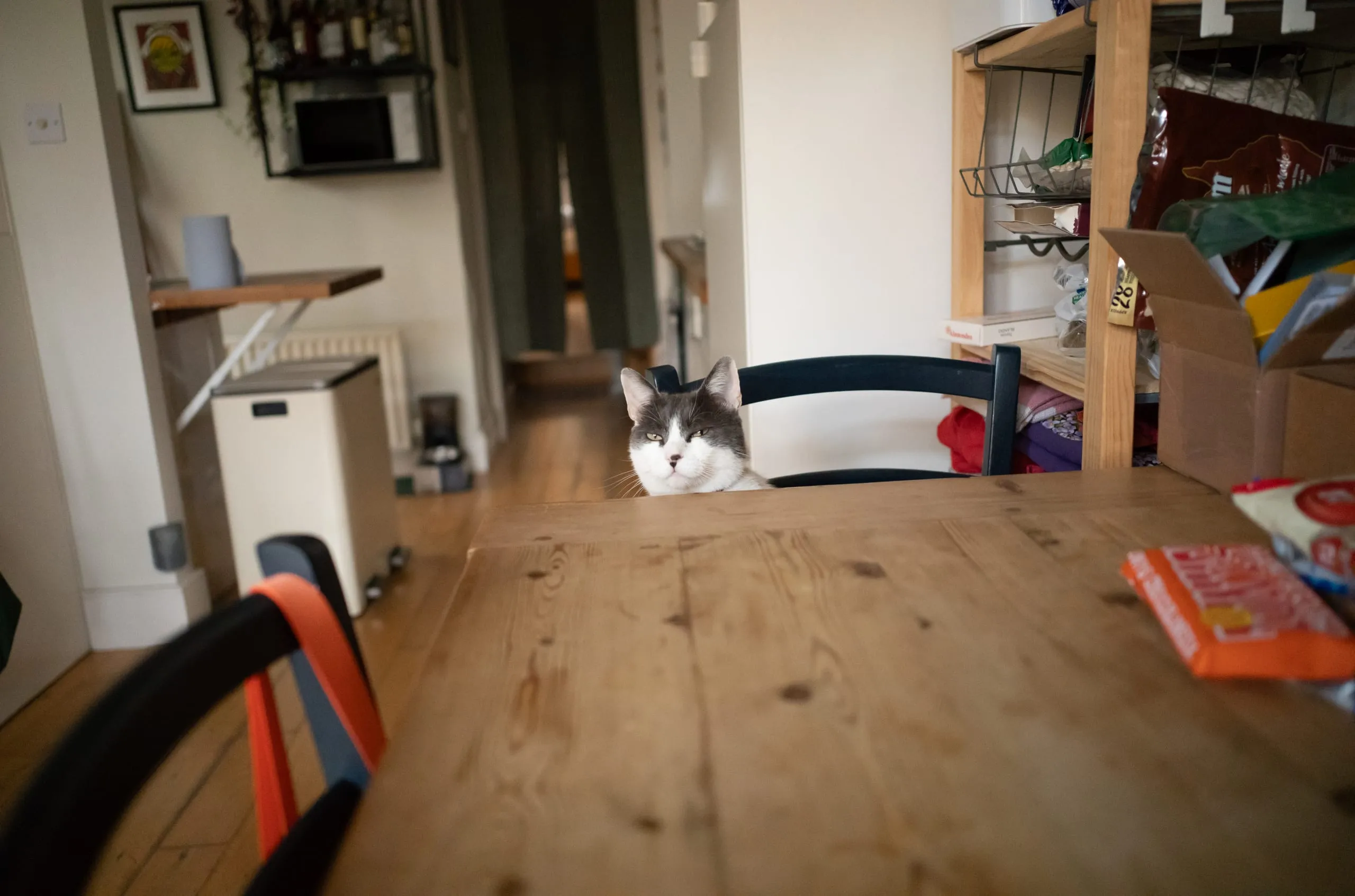 Sam poses at the kitchen table