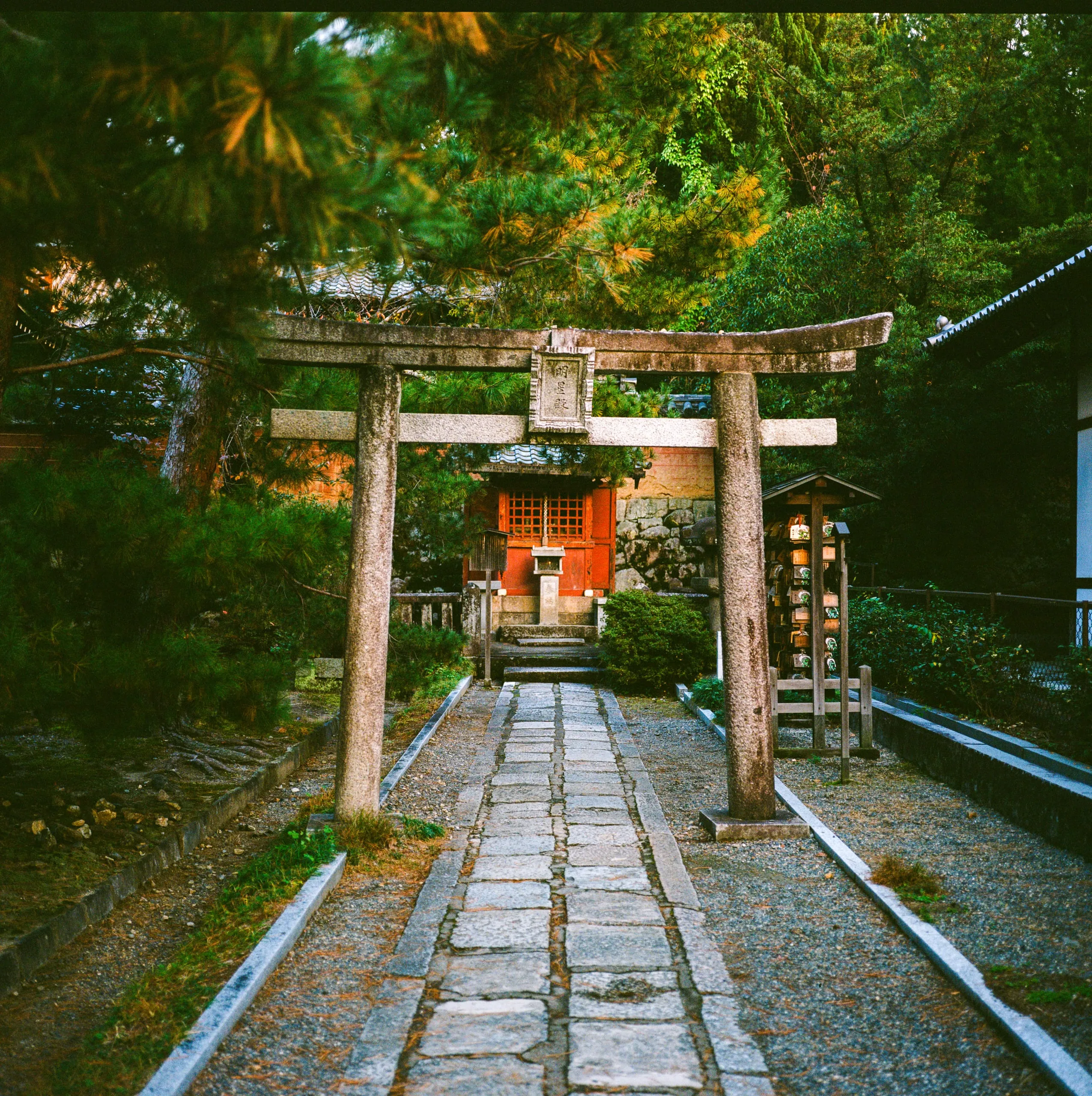 A stone torii gate over a paved path to a small shrine