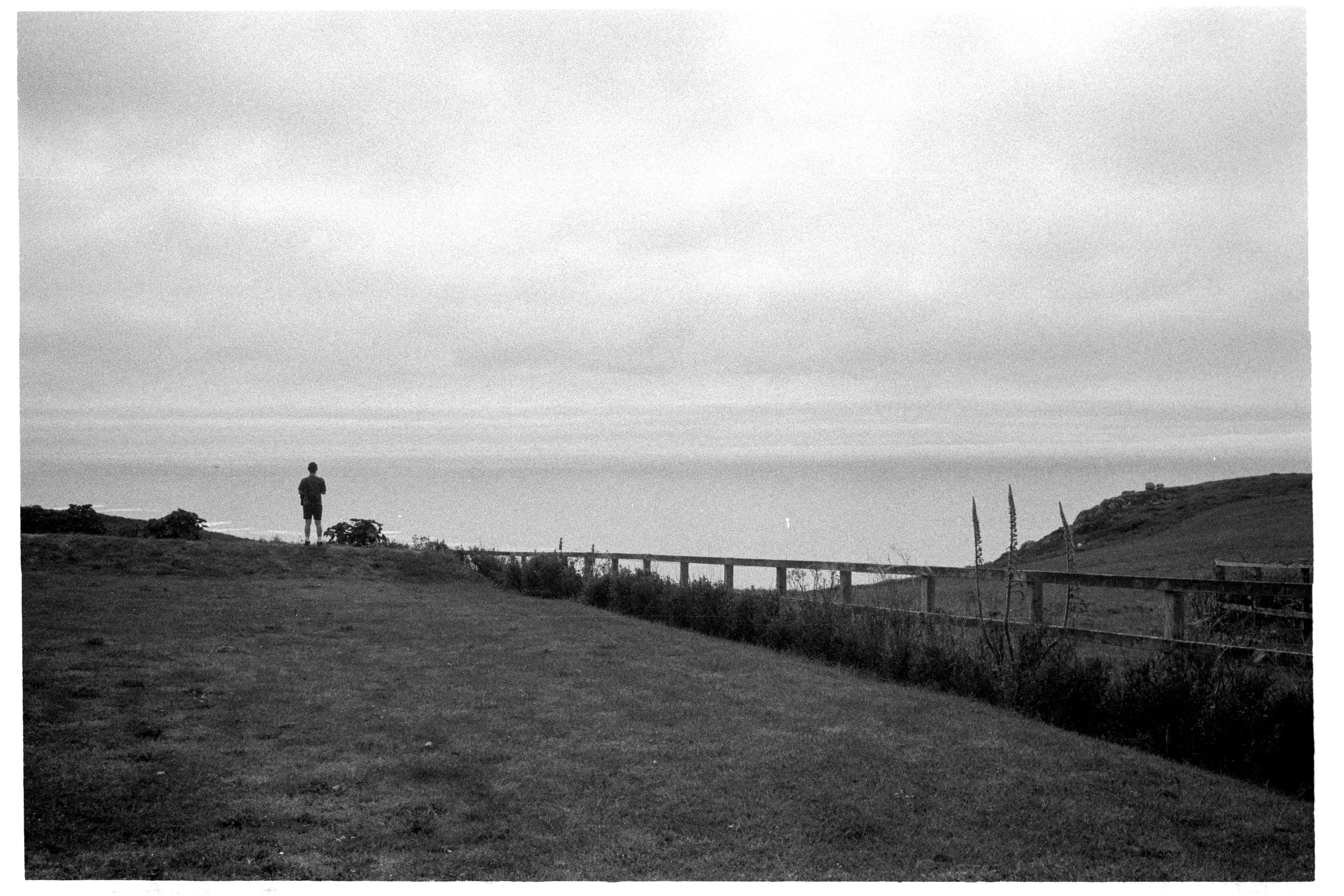 Bo looks over the sea in Porthcurno