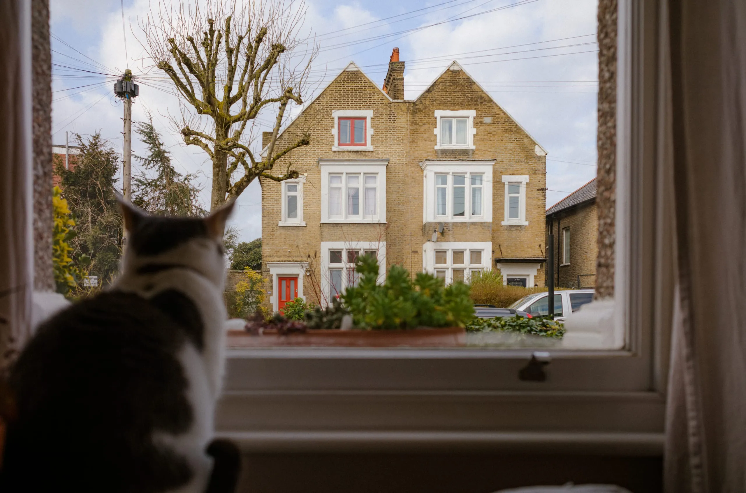 Sam looks out the window