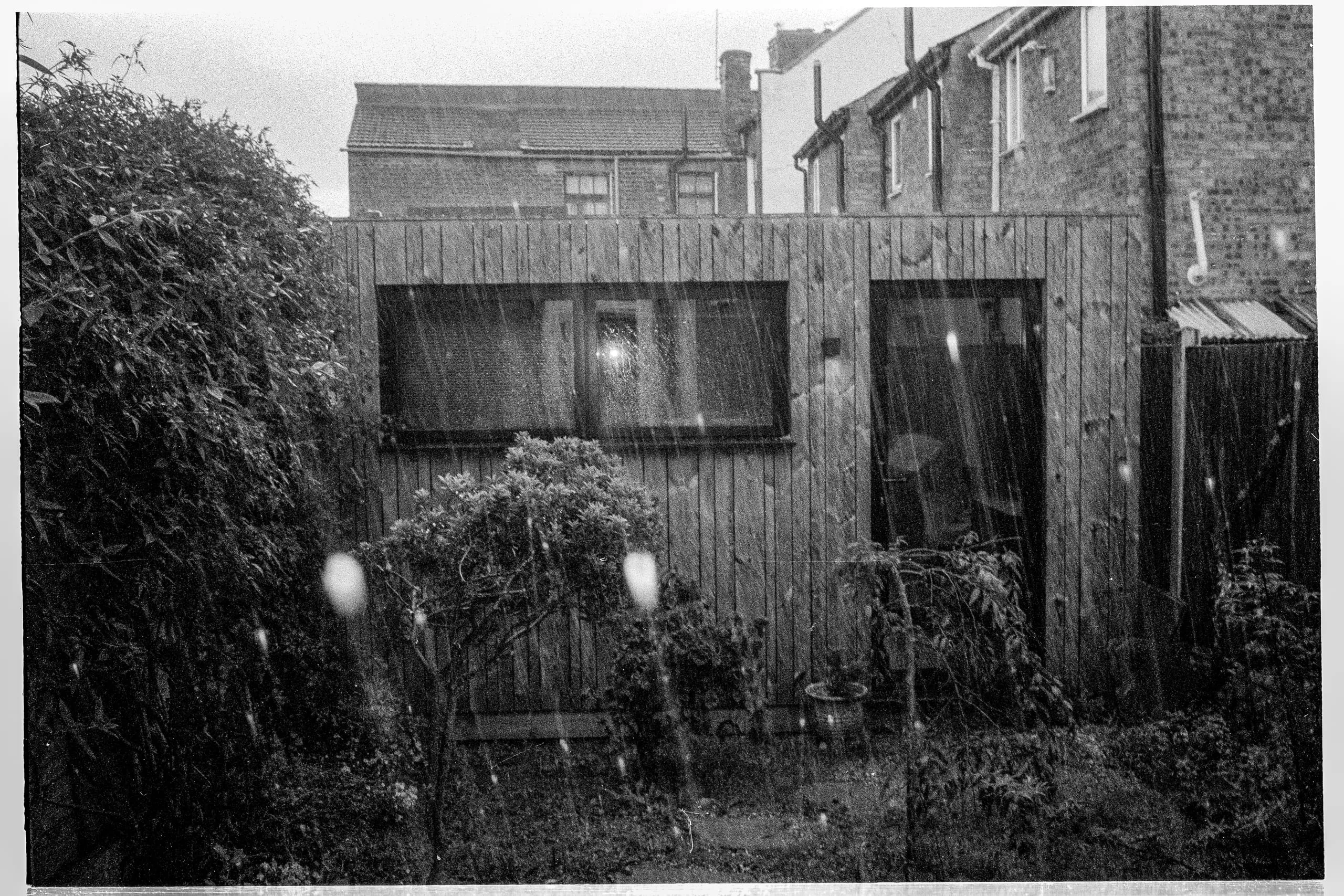 Hail falls on my back garden