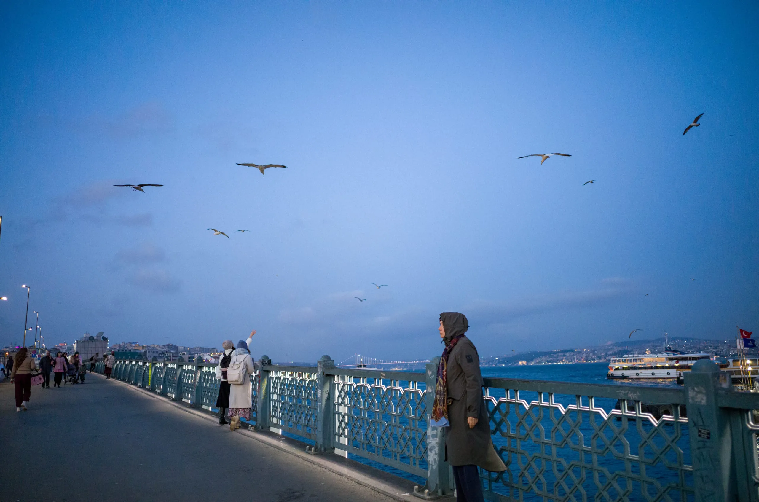 People stand at the railings of a bridge as gulls fly overhead at dusk, Galata Bridge, Istanbul