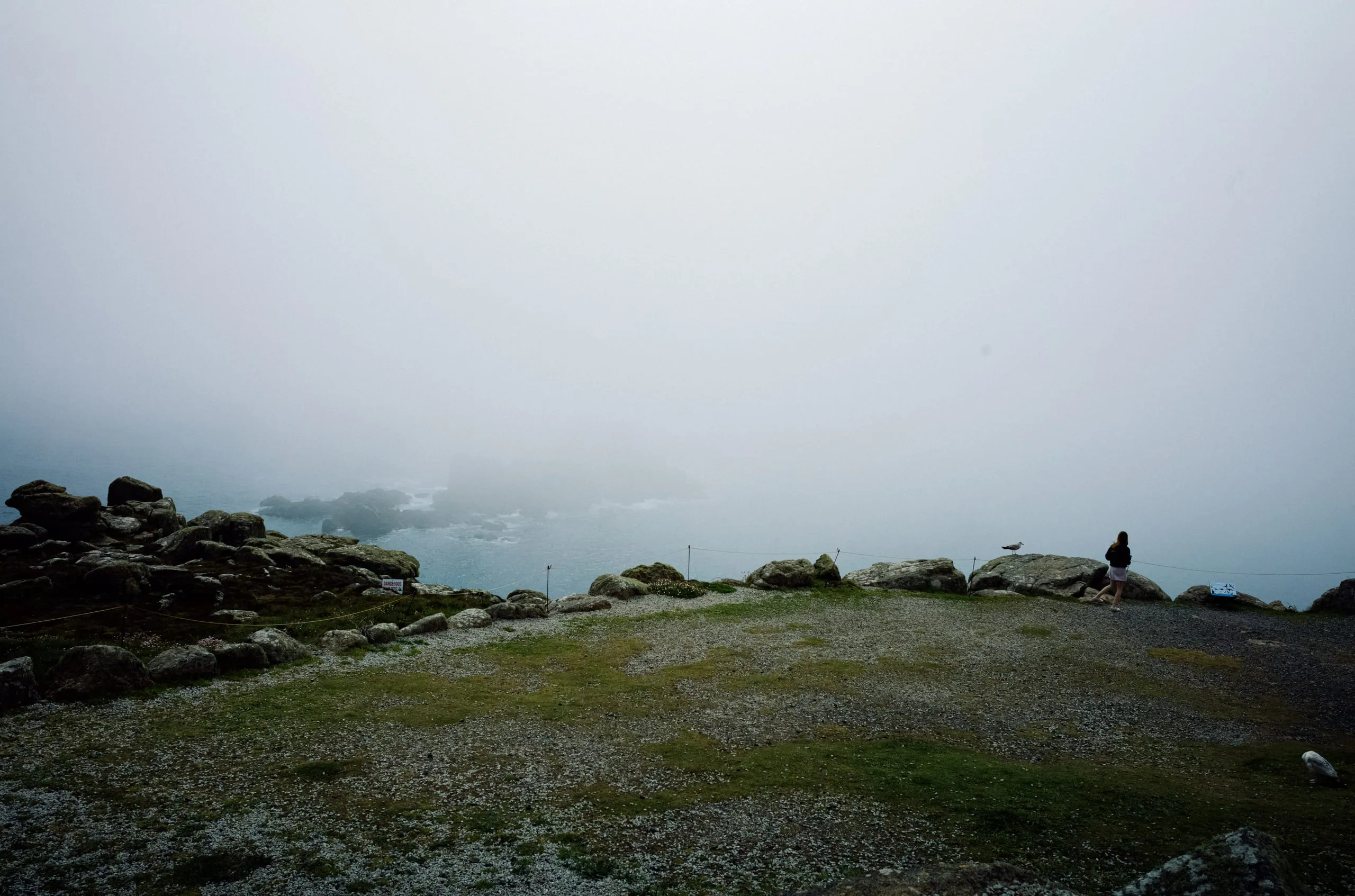 A girl and a seagull stand at the edge of a cliff in Land's End