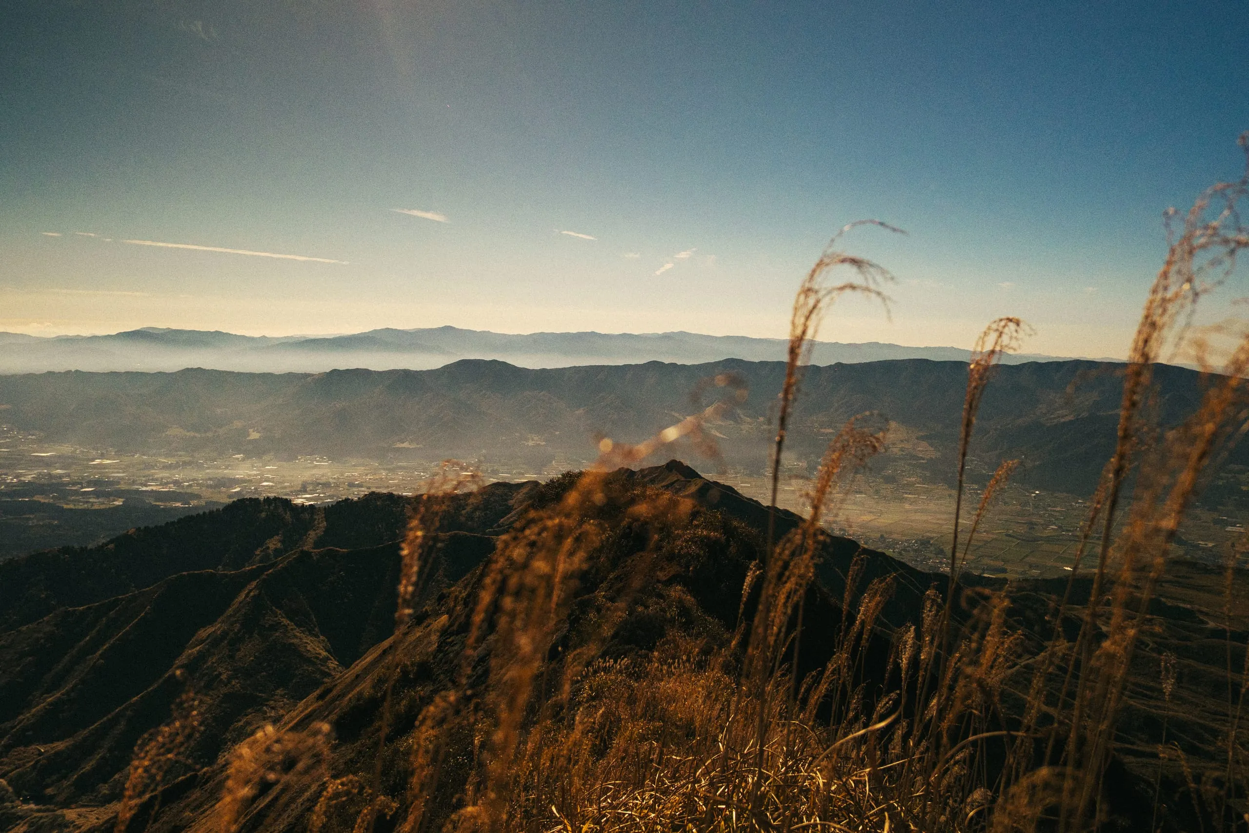 Pampas grass on a ridge above a valley ringed by mountains, Mt. Aso