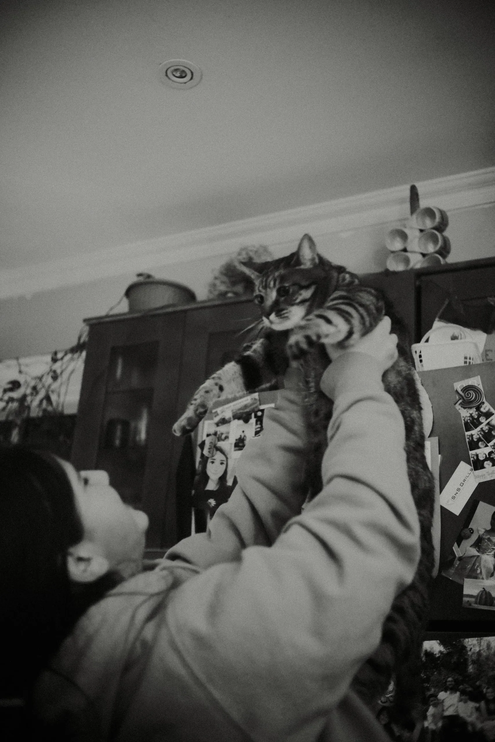 Ms. Morley holds up her cat