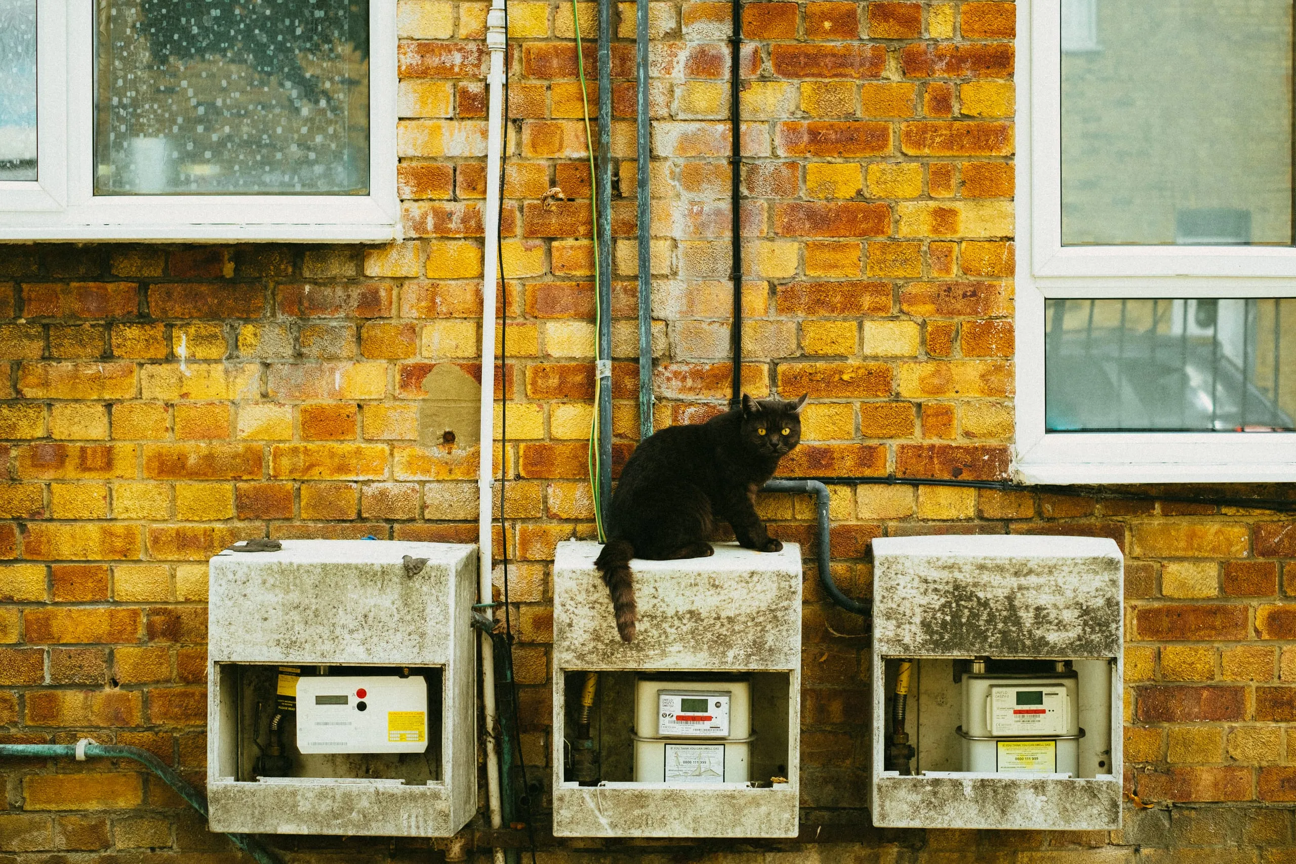 A cat stands on top of a trio of gas meters, Lea Bridge Road